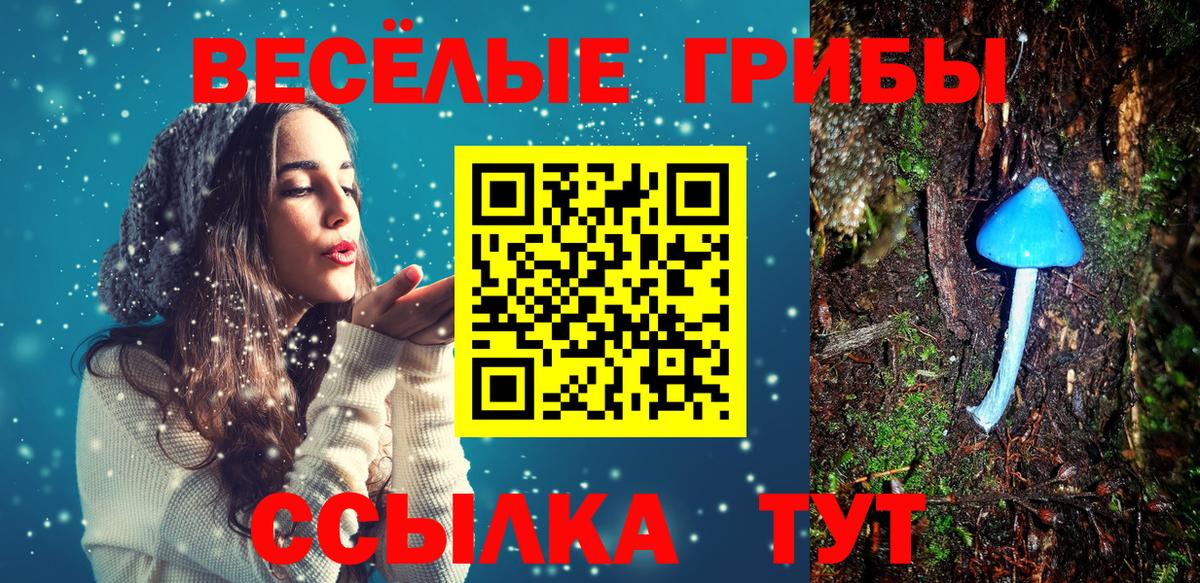 Галлюциногенные грибы мицелий Дзержинский
